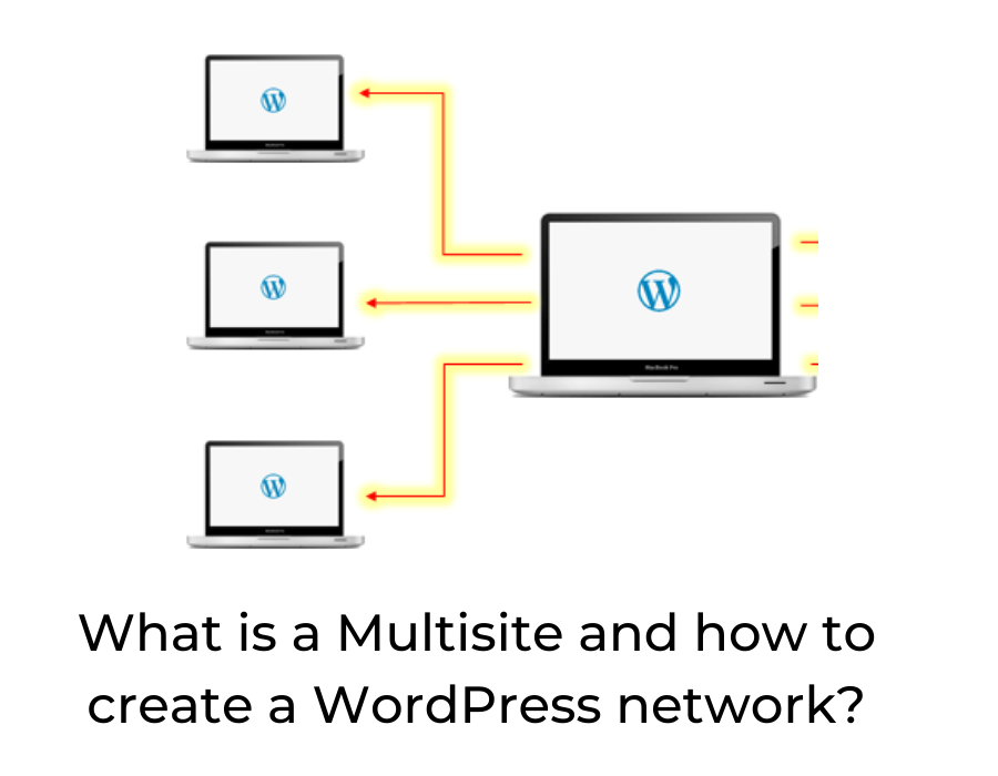 What is a Multisite and how to create a WordPress network