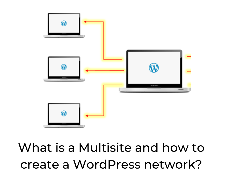 what-is-a-multisite-and-how-to-create-wordpress-network-the-daily