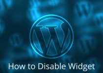 How to Disable Widget Blocks in WordPress